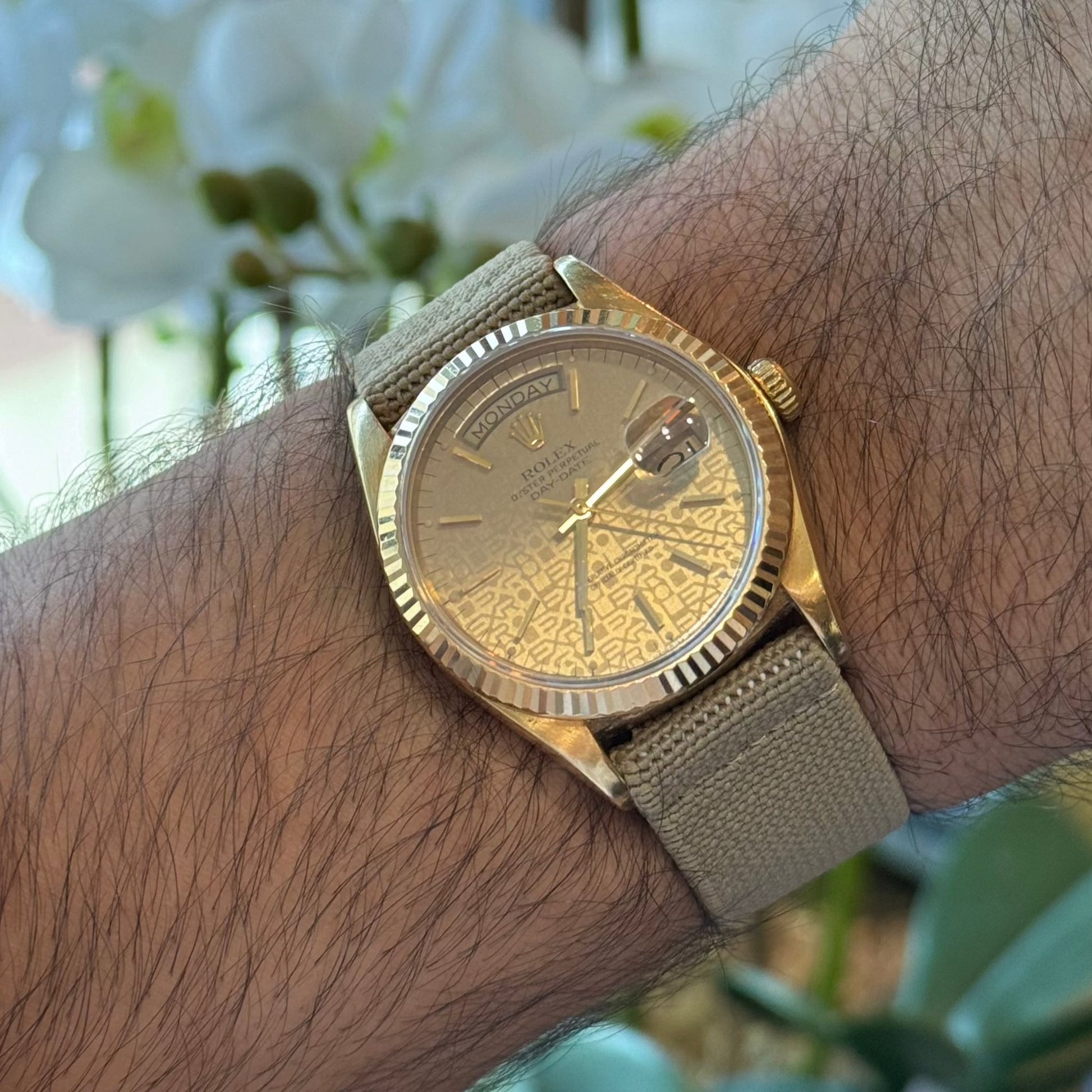 Beige elastic watch strap – Artisan Watch Co.