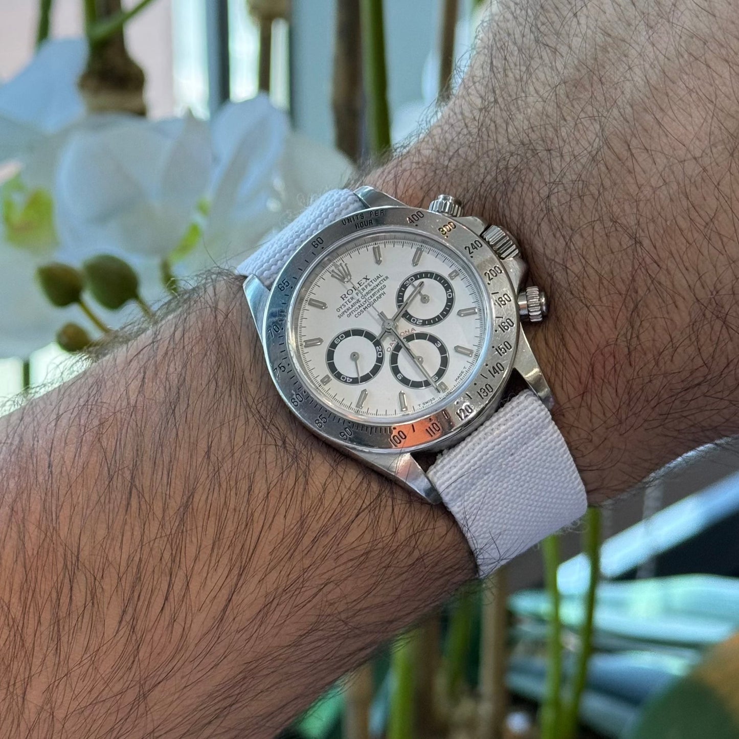 White elastic watch strap – Artisan Watch Co.